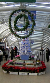 d41b317b.JPG