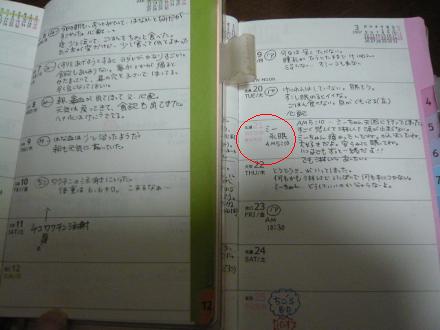 2007/3/21Æüµ