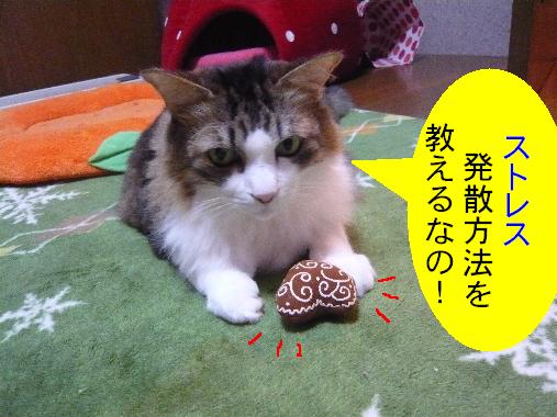 ¥¹¥È¥ì¥¹È¯»¶?