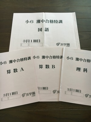 小6 灘中合格特訓（3月1回目） : のんびりほんわかアニマル一家