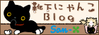 bn_ksnblog