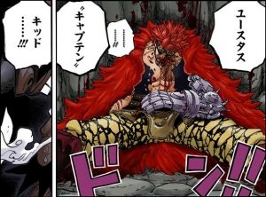 ユースタス・キッド - アニヲタWiki(仮 ...