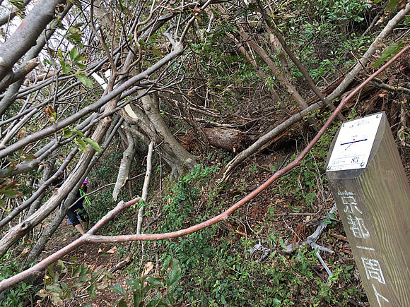 trail9