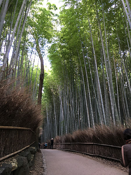 trail1