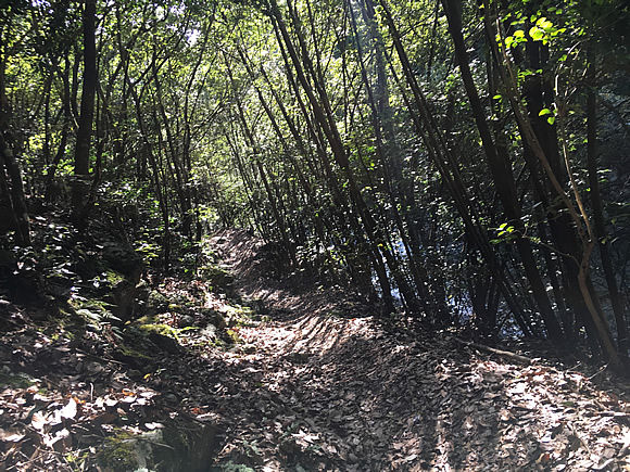 trail4