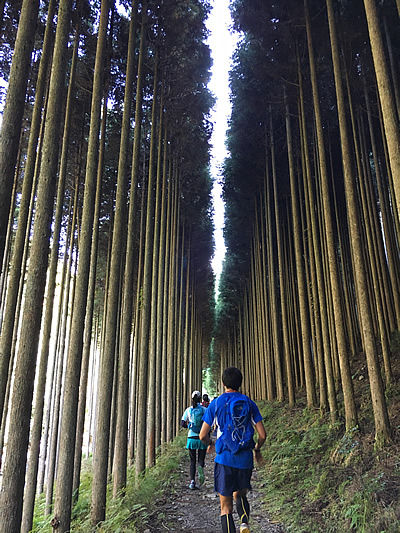 trail5