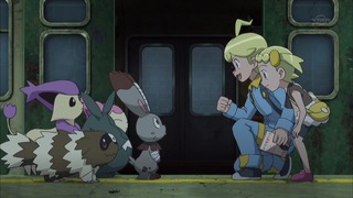 xy (144)