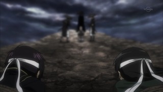 cap (248)