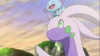 xy (183)