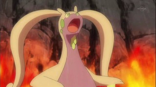 xy (172)