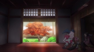 xy (66)