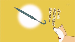 muco (50)