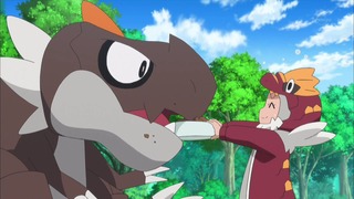 xy (43)