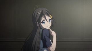 fan-294