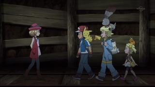 xy (115)