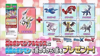 xy (411)