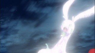 xy (71)