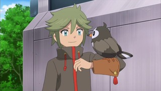 xy (33)