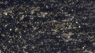log24_34