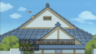 sazae-168