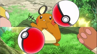 xy (76)