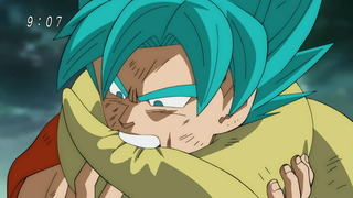 cap (9)