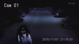 kowa (39)