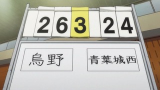 cap (26)