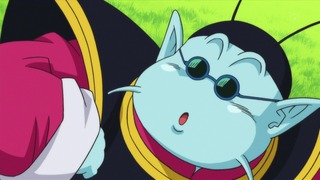 557