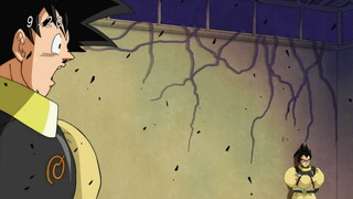 cap (49)