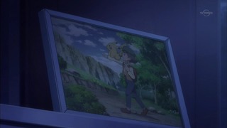 xy (229)
