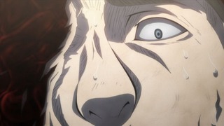 cap (248)