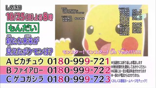 xy (246)