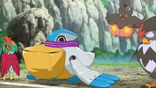 xy (86)