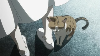 cap (103)
