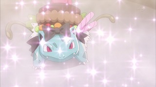 xy (79)