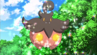 xy53 (126)