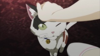 cap (48)