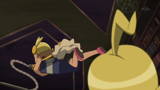 xy (77)
