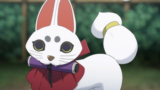 cap (17)