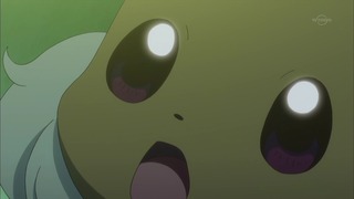 xy (170)
