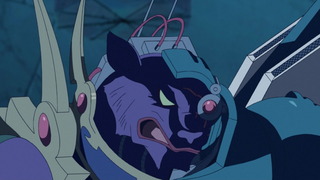 cap (17)