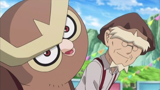 xy (28)