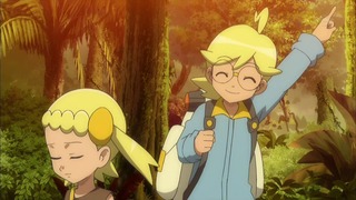 xy (163)