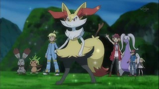 xy (31)