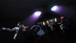 fan-232