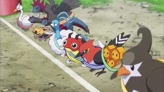 xy (56)