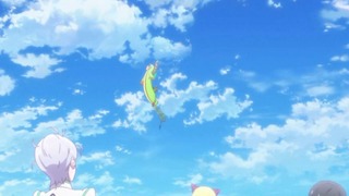 cap (254)
