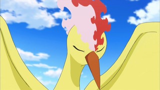 xy (168)