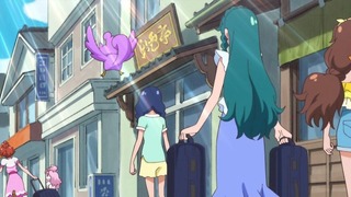 cap (31)
